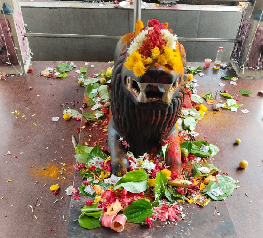 The lion (vahana) of Sri Vijaya Durga Devi